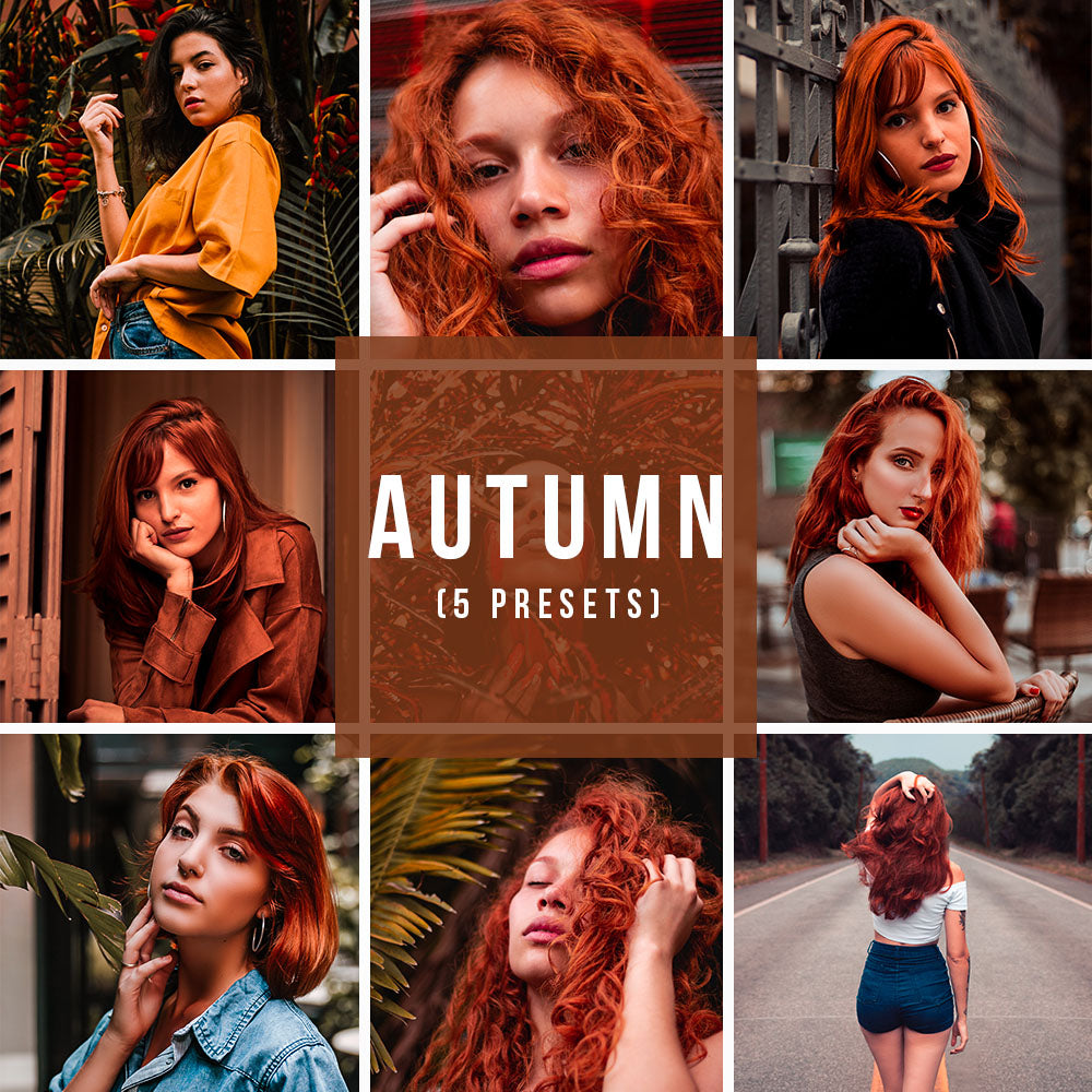 AUTUMN (5 PRESETS)