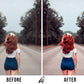 AUTUMN (5 PRESETS)