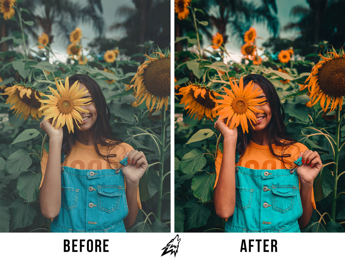 ORANGE & TEAL (5 PRESETS)