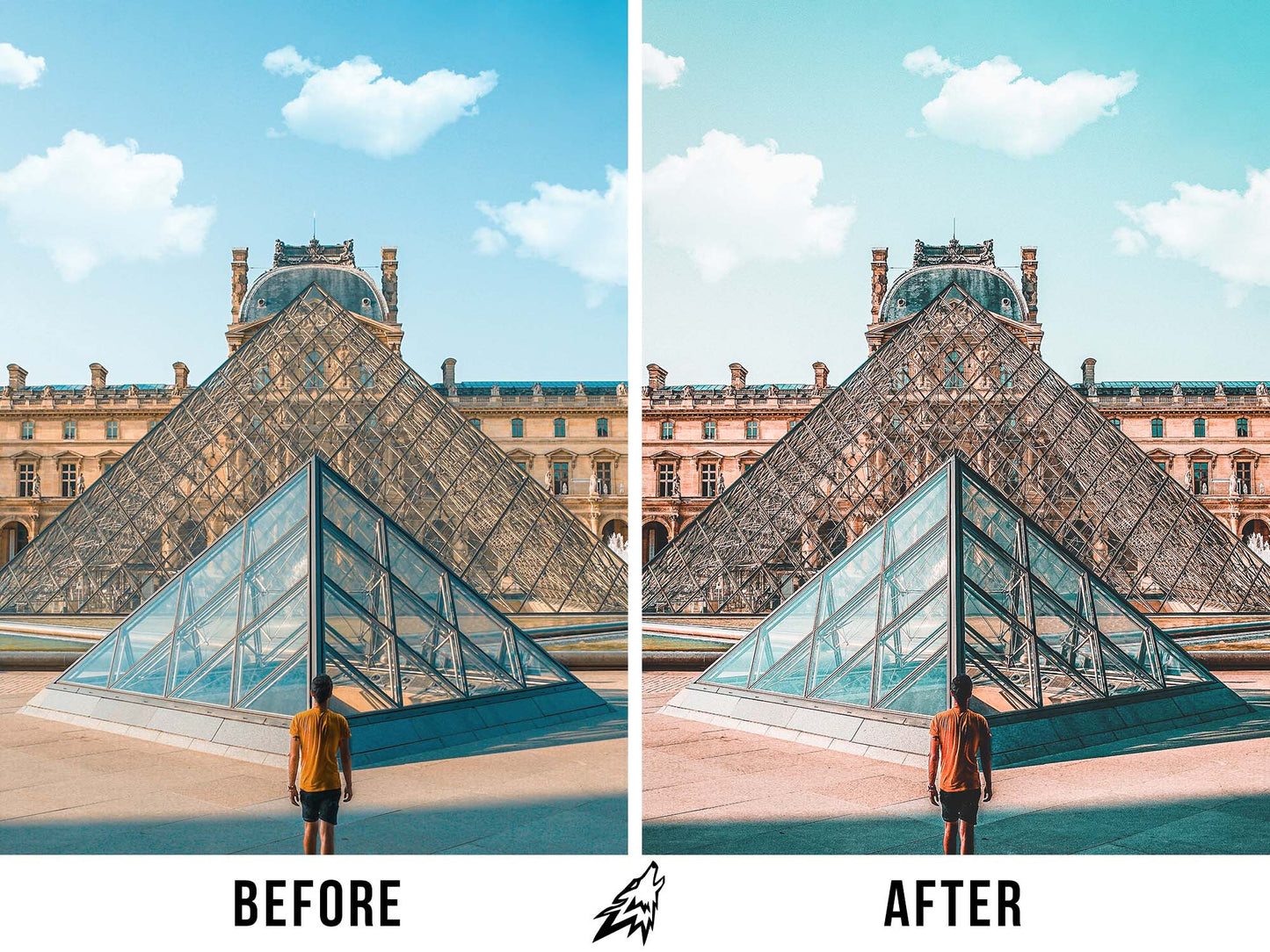 PARIS (5 PRESETS)