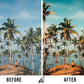 SUMMER (5 PRESETS)