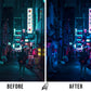 TOKYO (5 PRESETS)