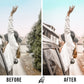 TRAVEL (5 PRESETS)