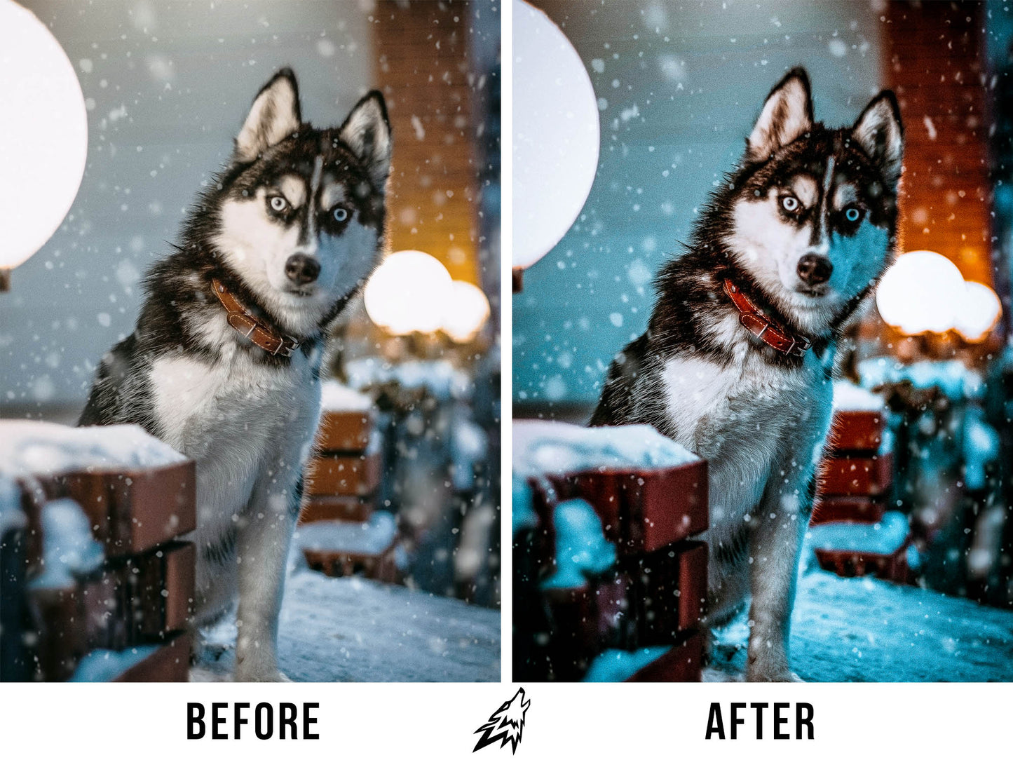 WINTER (5 PRESETS)