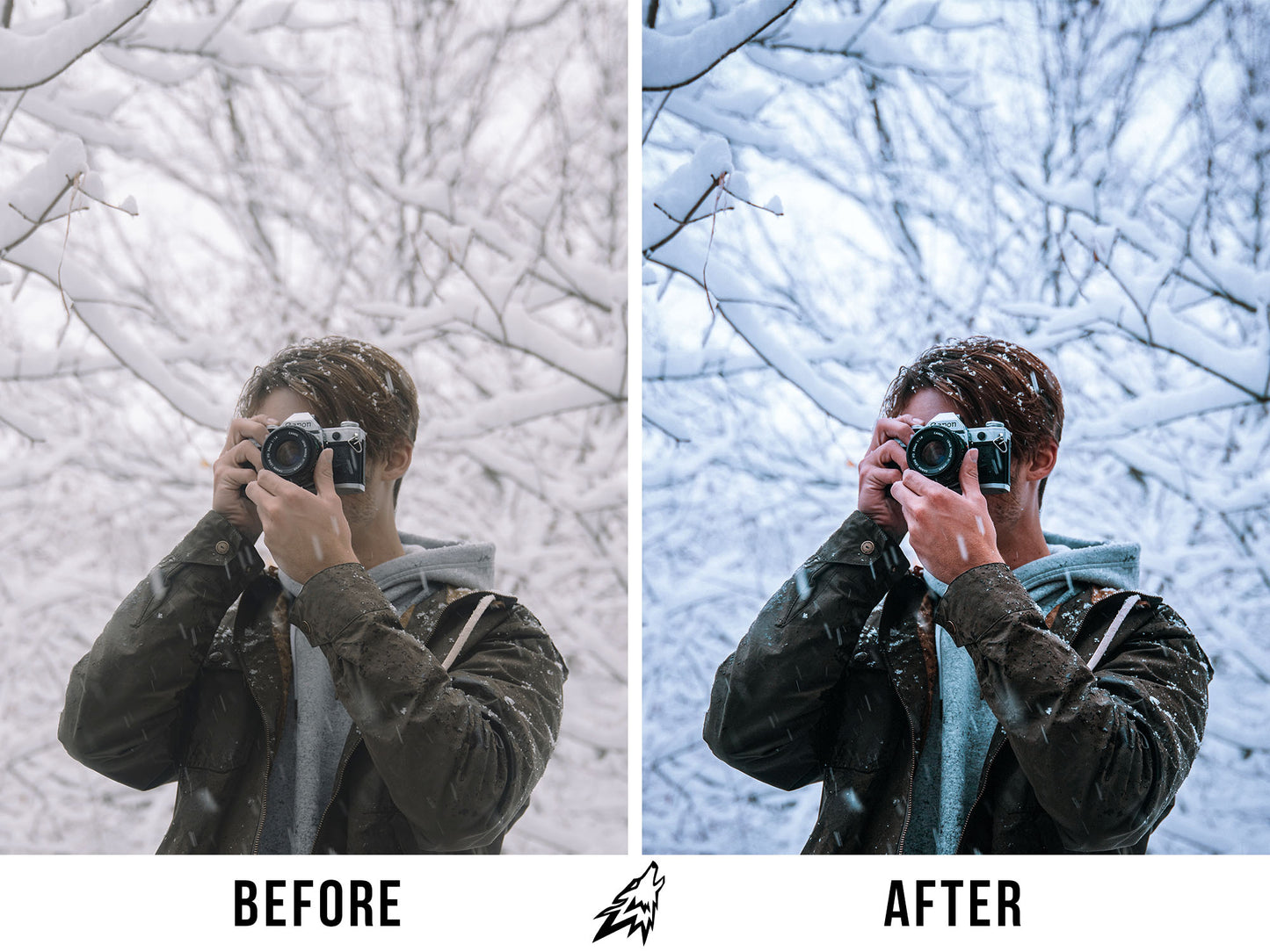 WINTER (5 PRESETS)