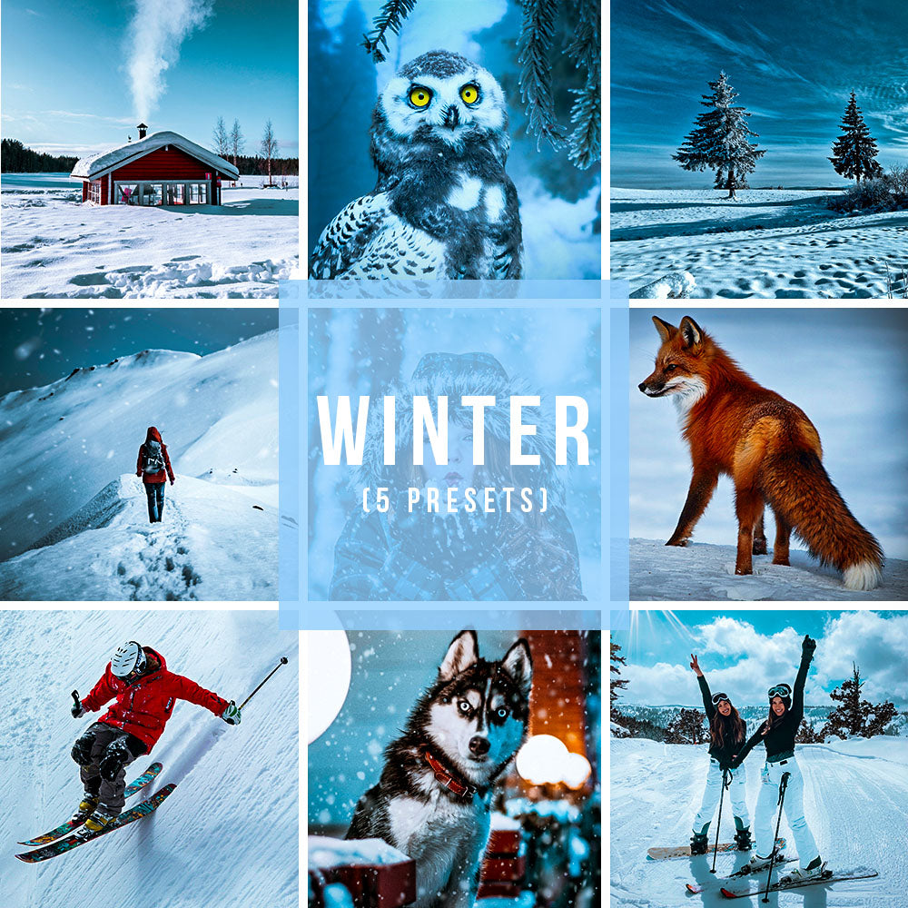 WINTER (5 PRESETS)